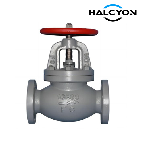 JIS F7378 16K Cast Iron Screw-Down Check Angle Valve